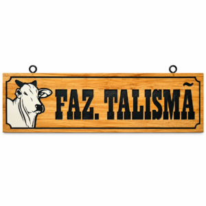 Placa Linha Precisão 2x40 Metros