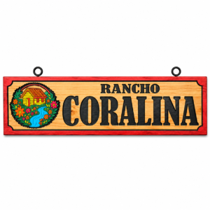Placa Linha Especial 2x40 Metros